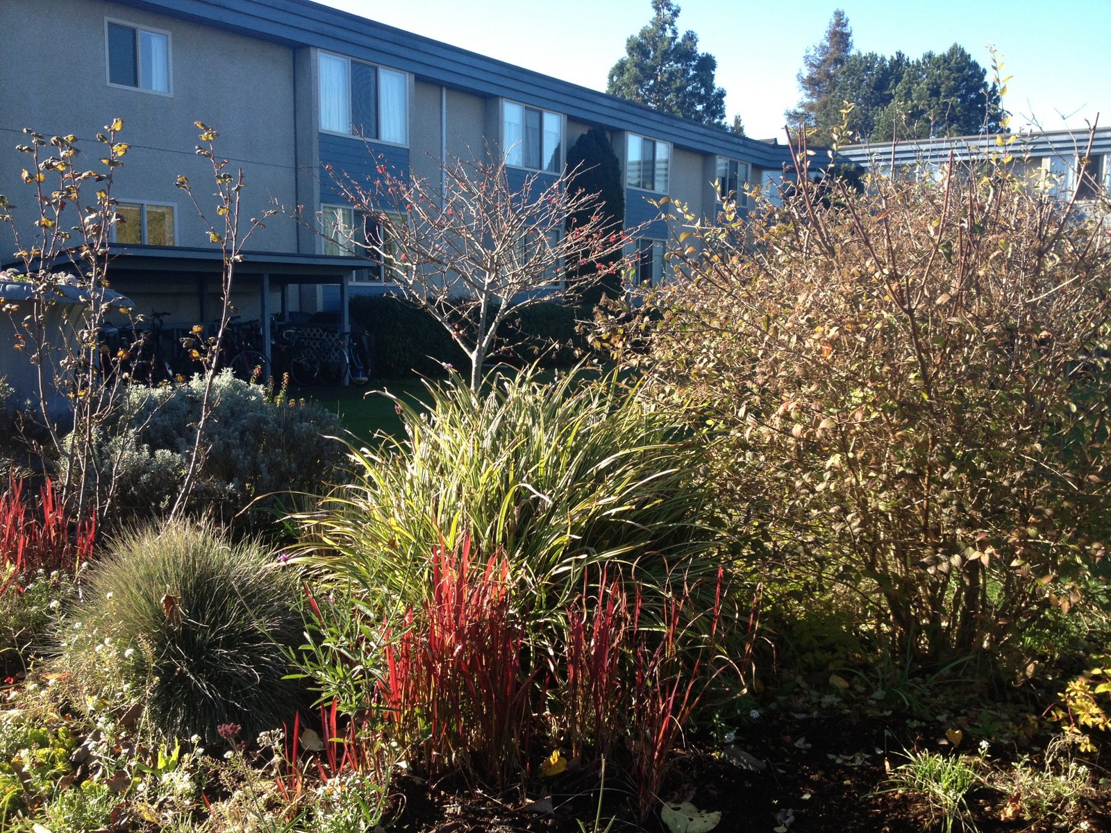 About Mount Douglas Seniors Housing Society